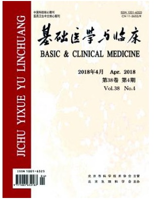 基础医学与临床