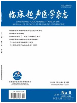 临床超声医学