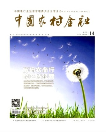 中国农村金融