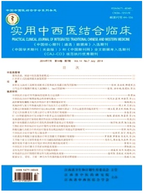 实用中西医结合临床