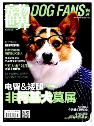 宠物世界(狗迷)