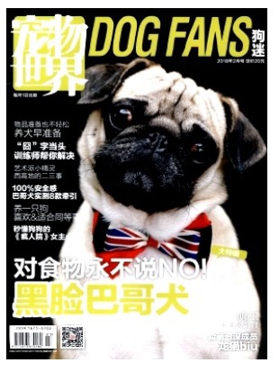 宠物世界(狗迷)