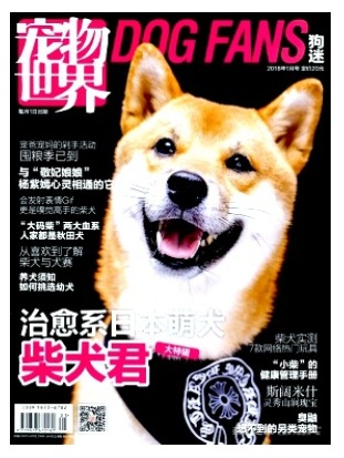 宠物世界(狗迷)