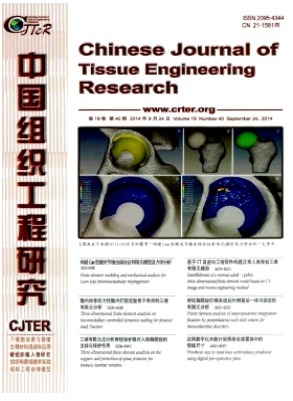中国组织工程研究