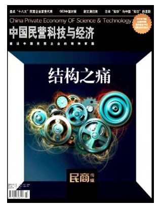 中国民营科技与经济