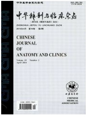 中华解剖与临床