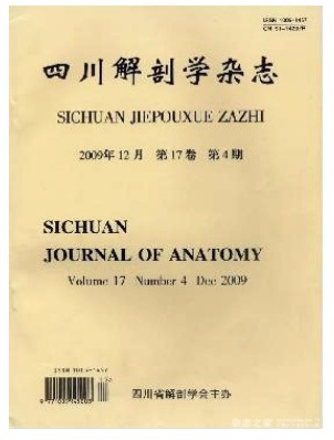 四川解剖学