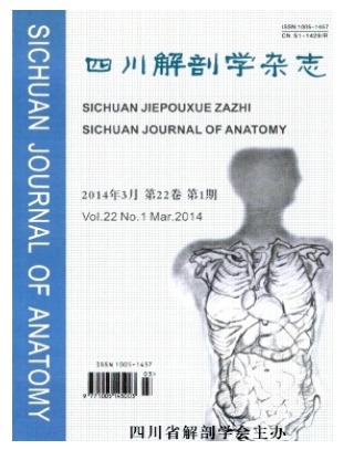 四川解剖学