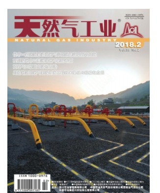 天然气工业