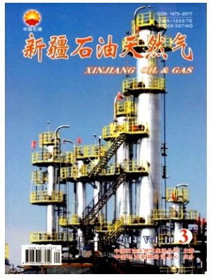 新疆石油天然气