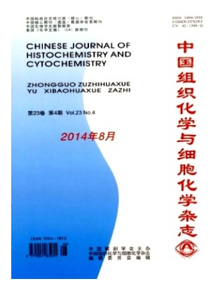 中国组织化学与细胞化学