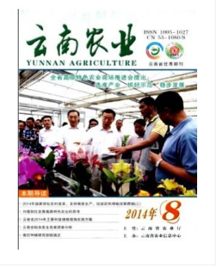 云南农业