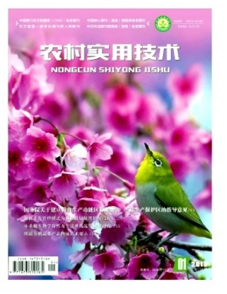 农村实用技术