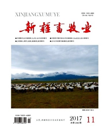 新疆畜牧业