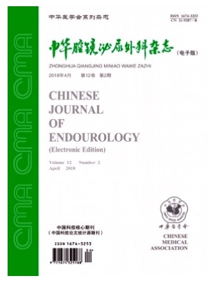 中华腔镜泌尿外科