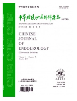 中华腔镜泌尿外科