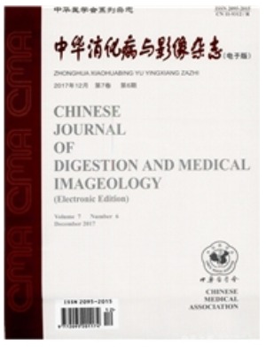 中华消化病与影像