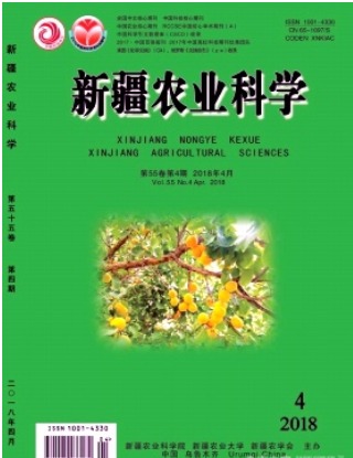 新疆农业科学
