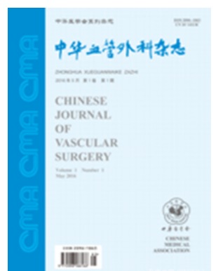 中华血管外科