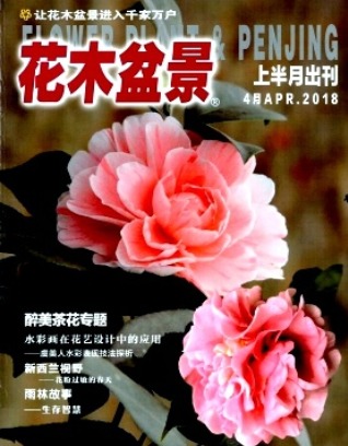 花木盆景
