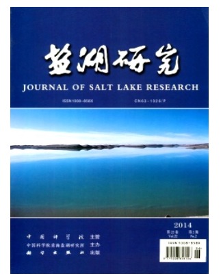 盐湖研究