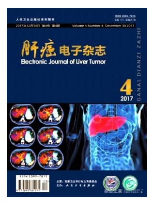 肝癌电子