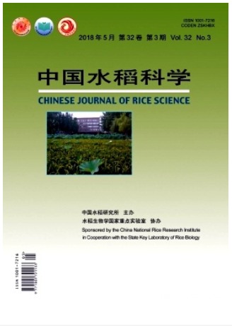 中国水稻科学