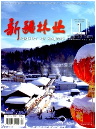 新疆林业