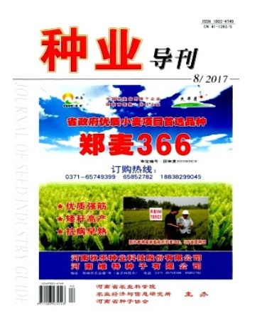 种业导刊