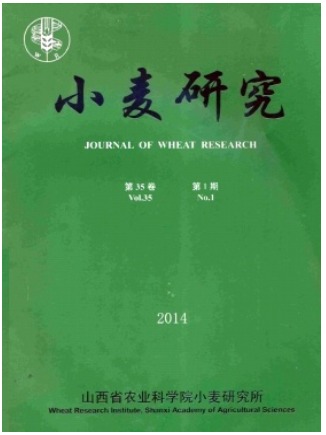 小麦研究