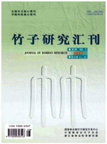 竹子研究汇刊