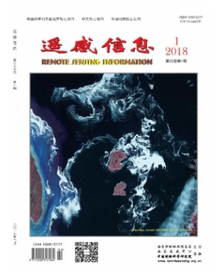 遥感信息