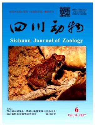 四川动物