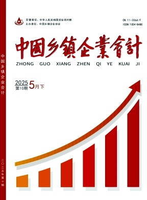 中国乡镇企业会计