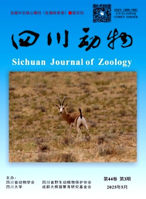 四川动物