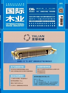 国际木业