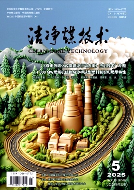 洁净煤技术