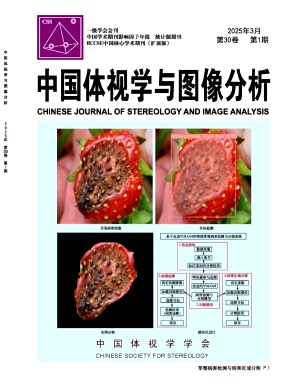 中国体视学与图像分析