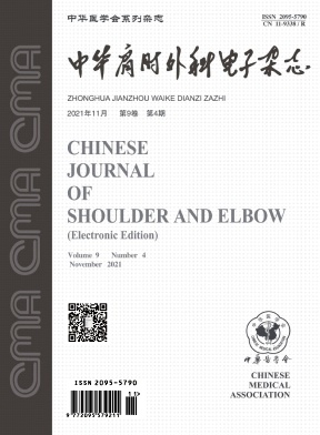 中华肩肘外科电子