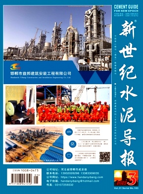 新世纪水泥导报