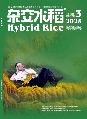 杂交水稻
