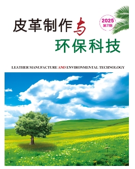皮革制作与环保科技