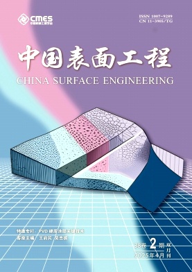 中国表面工程
