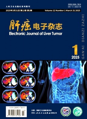 肝癌电子