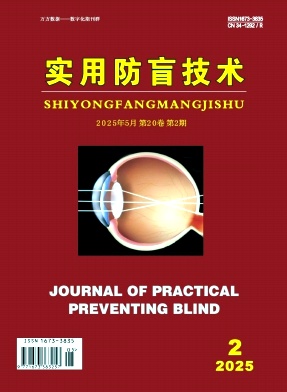 实用防盲技术
