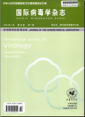 国际病毒学