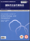 国际内分泌代谢