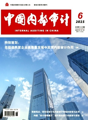 中国内部审计