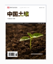 中国土壤